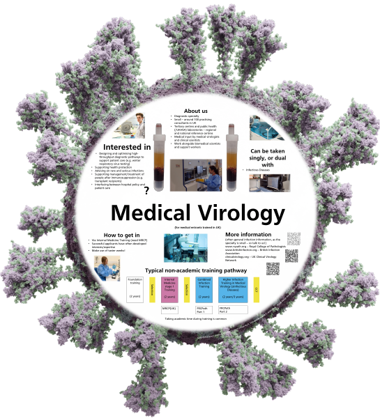 A Medical Virology careers poster image